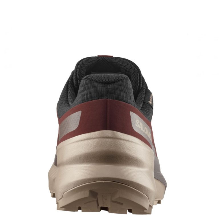 Obuv Salomon Speedcross Peak Gtx M - černá/hnědá