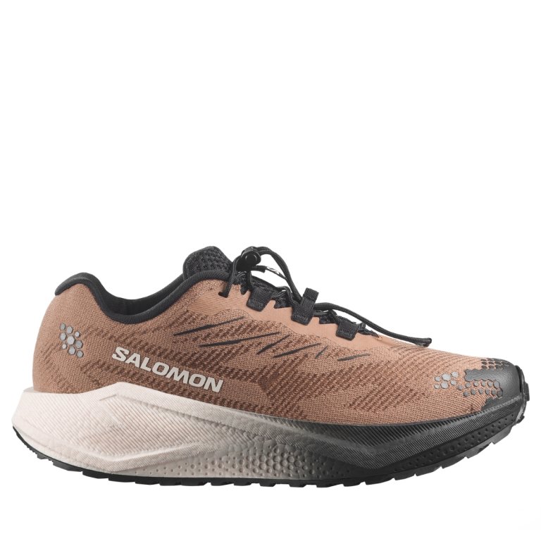 Obuv Salomon Aero Blaze 4 Grvl M - hnědá
