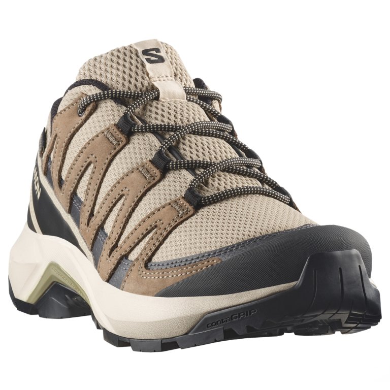 Obuv Salomon X-Adventure Recon Gtx W - hnědá/béžová/černá