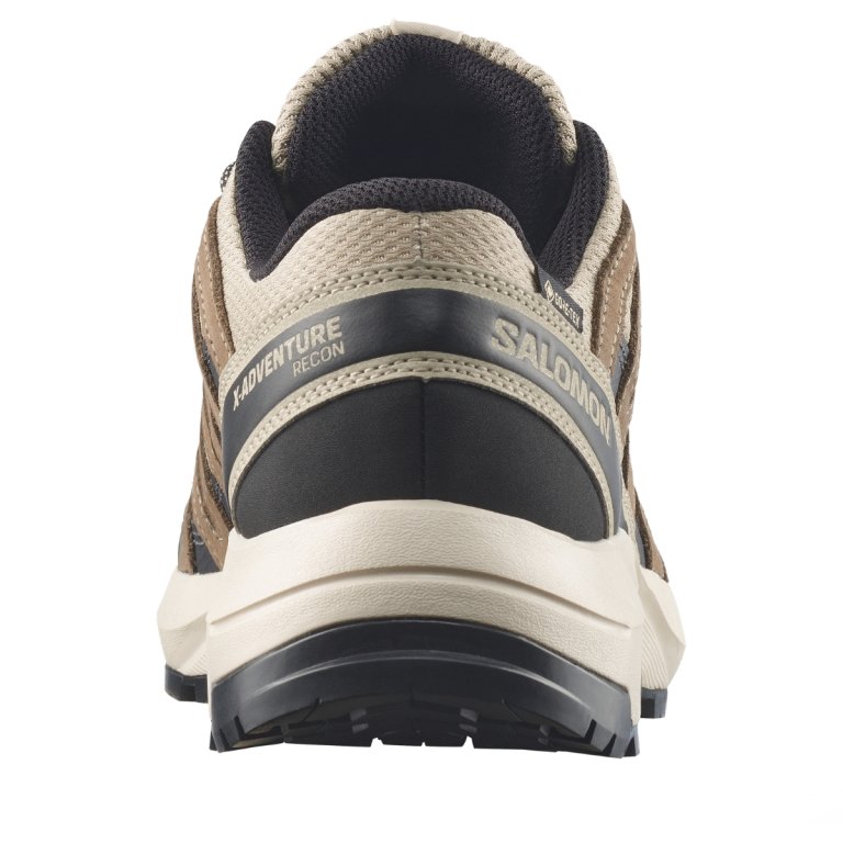 Obuv Salomon X-Adventure Recon Gtx W - hnědá/béžová/černá