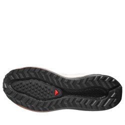 Obuv Salomon Aero Blaze 4 Grvl Gtx M - béžová/černá/hnědá