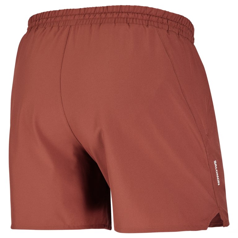 Kraťasy Salomon SHKout Core Shorts 5" M - hnědá