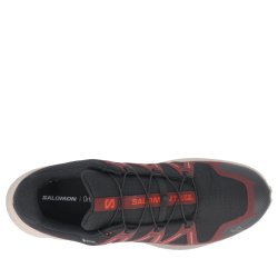 Взуття Salomon Speedcross Peak Gtx M — чорна/коричнева