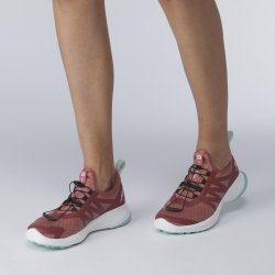 Взуття Salomon Sense Flow 2 W - цегла