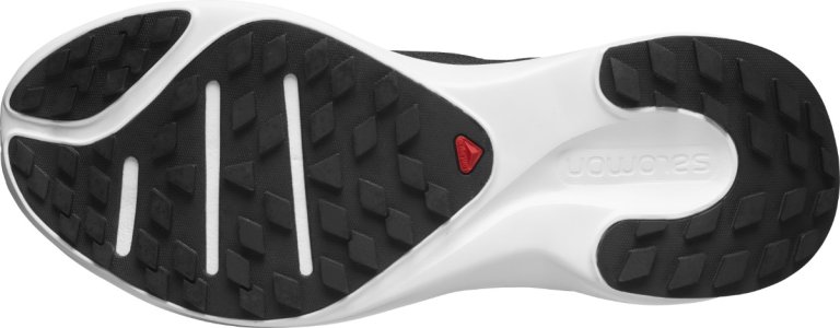 Взуття Salomon SENSE FEEL 2 W - чорний