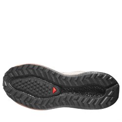 Obuv Salomon Aero Blaze 4 Grvl Gtx W - béžová/hnědá/černá