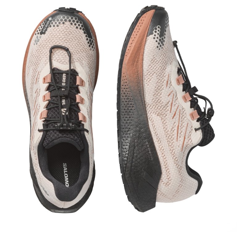 Obuv Salomon Aero Blaze 4 Grvl Gtx W - béžová/hnědá/černá