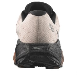 Obuv Salomon Aero Blaze 4 Grvl Gtx W - béžová/hnědá/černá