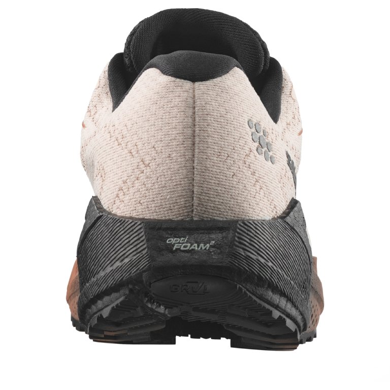Obuv Salomon Aero Blaze 4 Grvl Gtx W - béžová/hnědá/černá