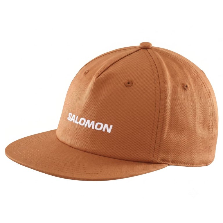 Kšiltovka Salomon Cap Flat - hnědá