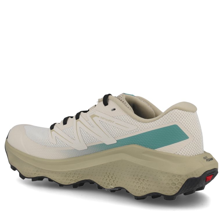 Obuv Salomon Ultra Flow 2 M – béžová