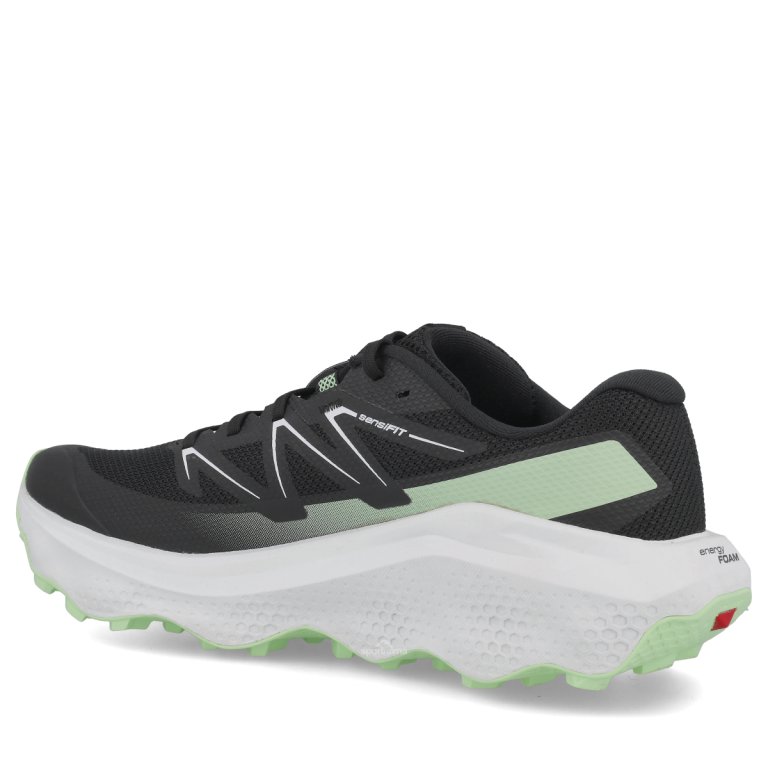 Obuv Salomon Ultra Flow 2 M - černá/bílá/zelená