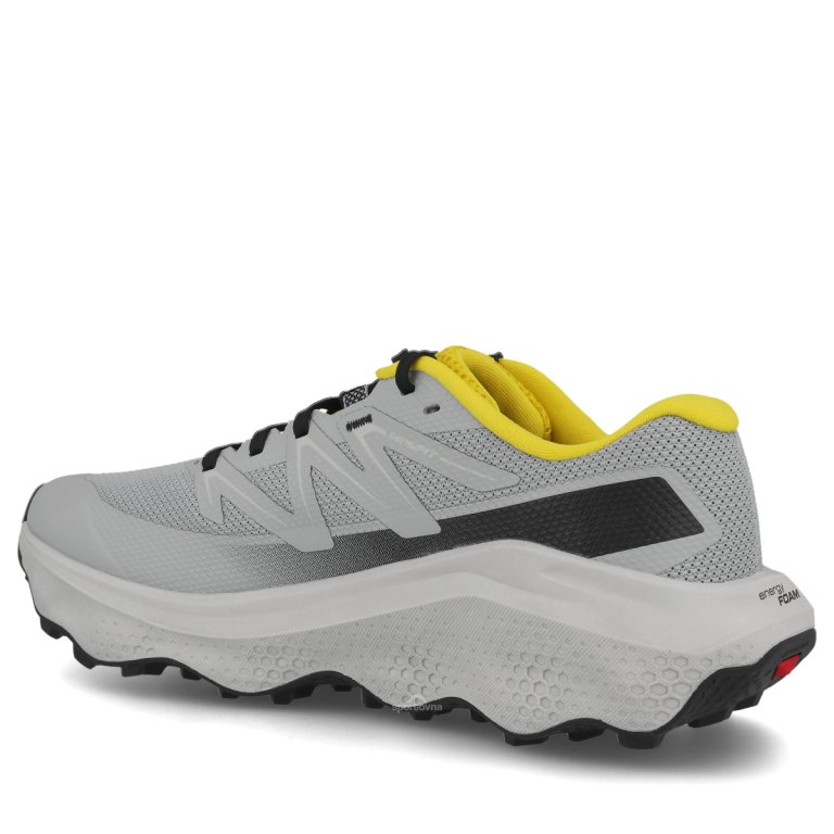 Obuv Salomon Ultra Flow 2 M - šedá/žlutá