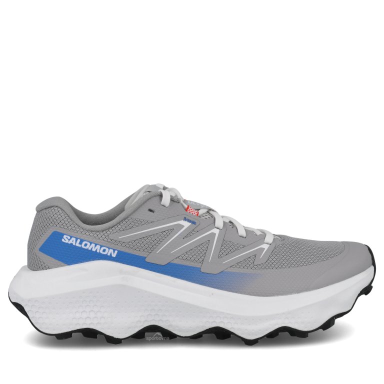 Obuv Salomon Ultra Flow 2 M - šedá/modrá