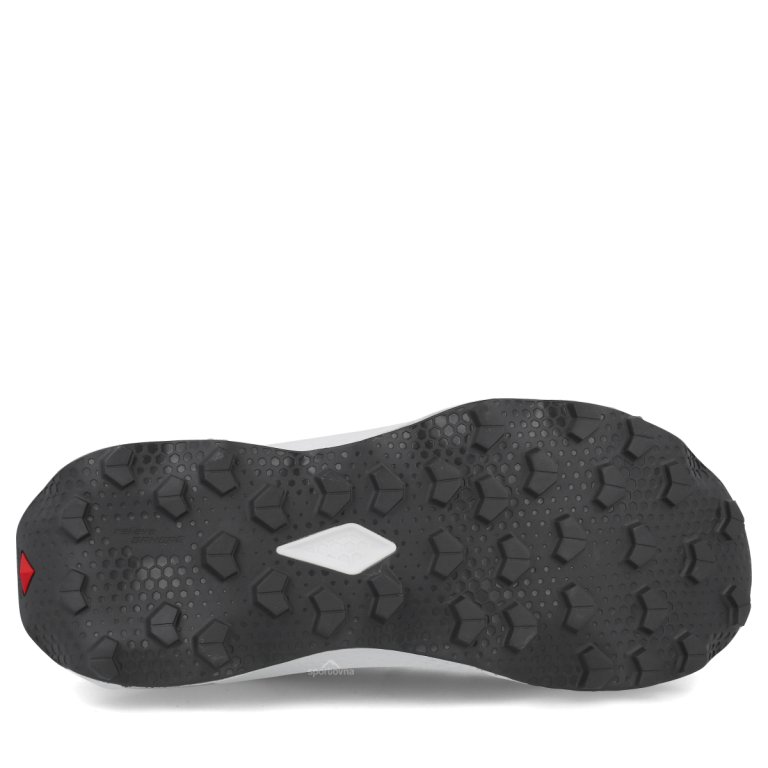 Obuv Salomon Ultra Flow 2 M - šedá/modrá