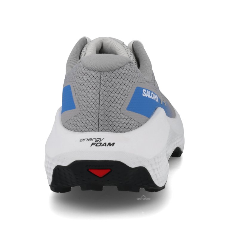 Obuv Salomon Ultra Flow 2 M - šedá/modrá