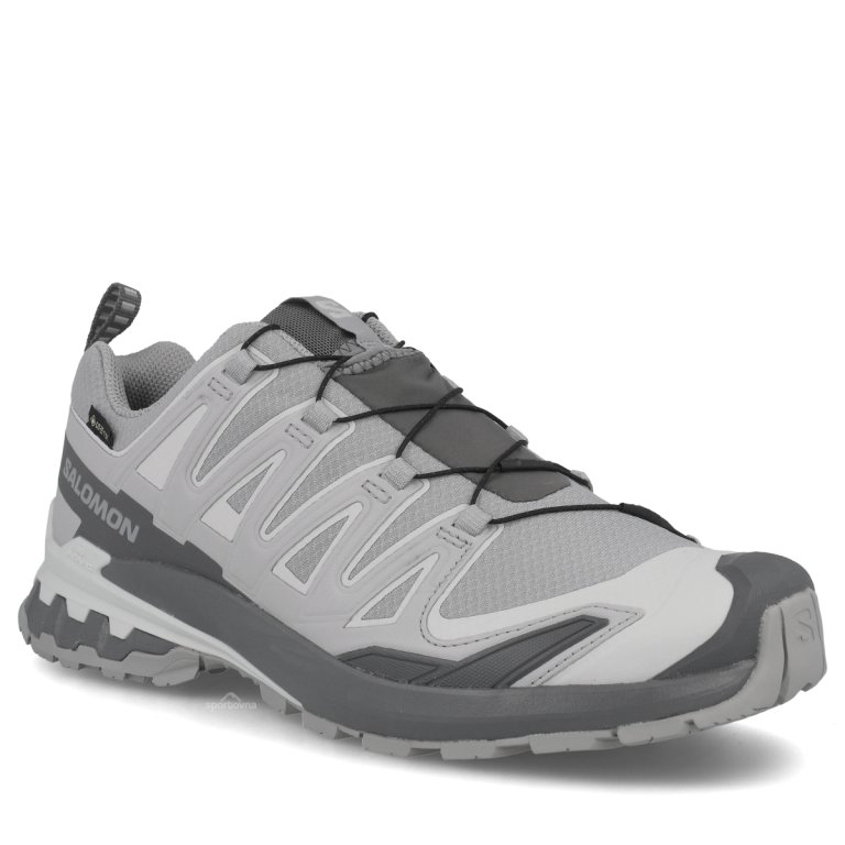 Взуття Salomon Xa Pro 3D V9 Gtx M — сіре