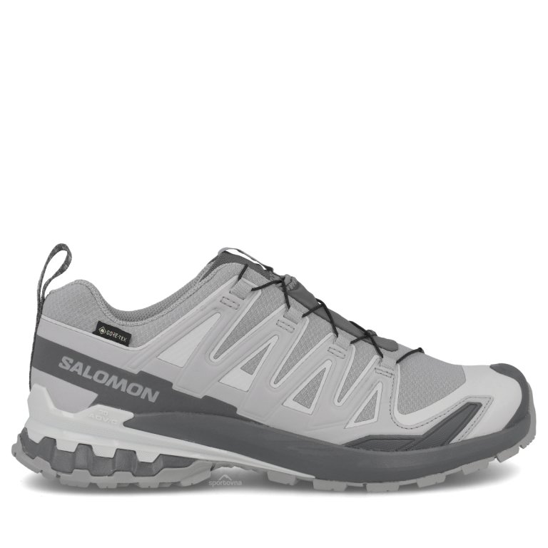 Взуття Salomon Xa Pro 3D V9 Gtx M — сіре