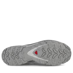 Взуття Salomon Xa Pro 3D V9 Gtx M — сіре