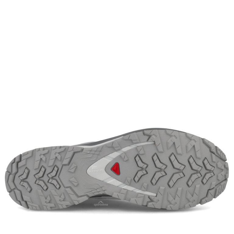 Взуття Salomon Xa Pro 3D V9 Gtx M — сіре