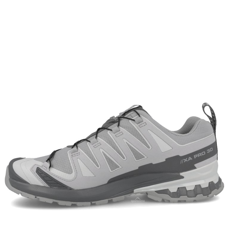 Взуття Salomon Xa Pro 3D V9 Gtx M — сіре