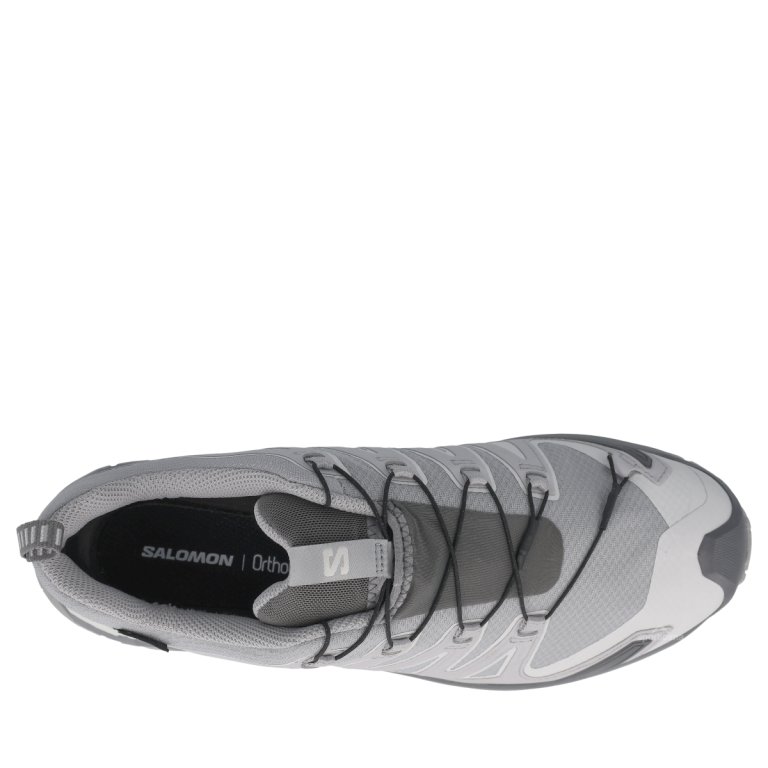 Взуття Salomon Xa Pro 3D V9 Gtx M — сіре