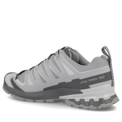Взуття Salomon Xa Pro 3D V9 Gtx M — сіре