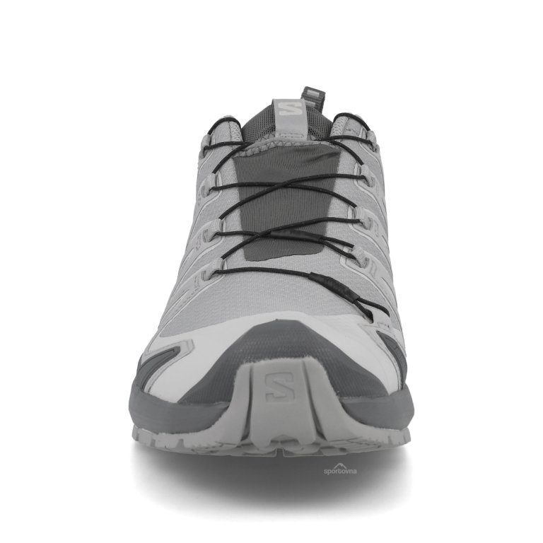 Взуття Salomon Xa Pro 3D V9 Gtx M — сіре