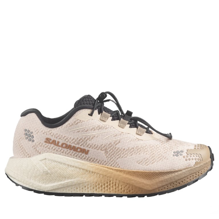 Obuv Salomon Aero Blaze 4 Grvl W - béžová/černá