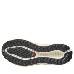 Obuv Salomon Aero Blaze 4 Grvl W - béžová/černá