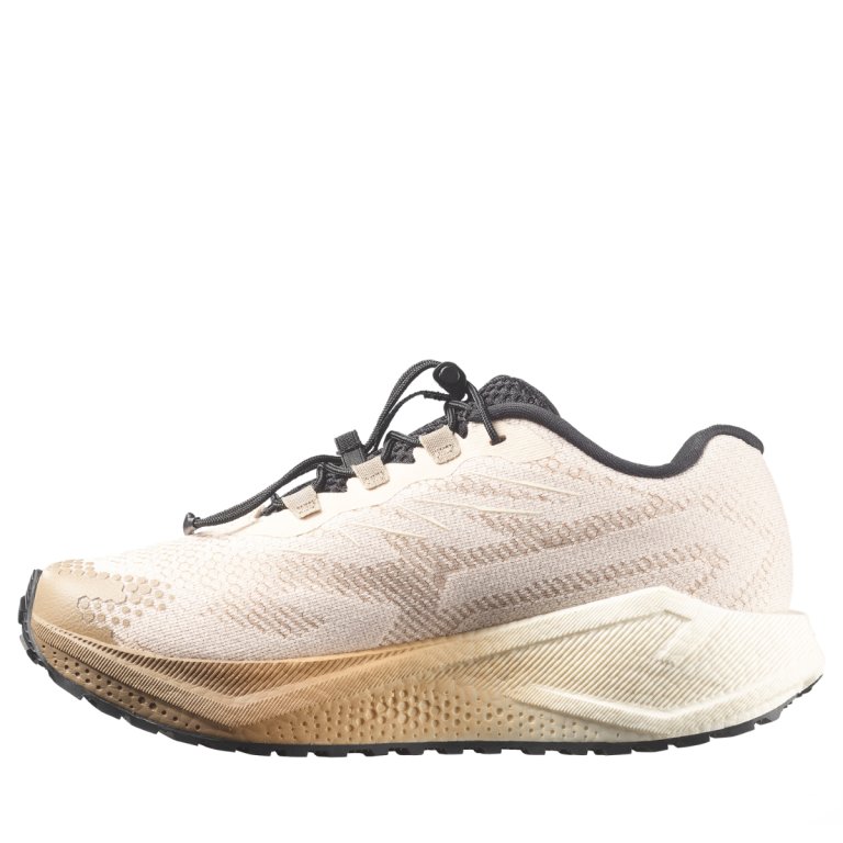 Obuv Salomon Aero Blaze 4 Grvl W - béžová/černá