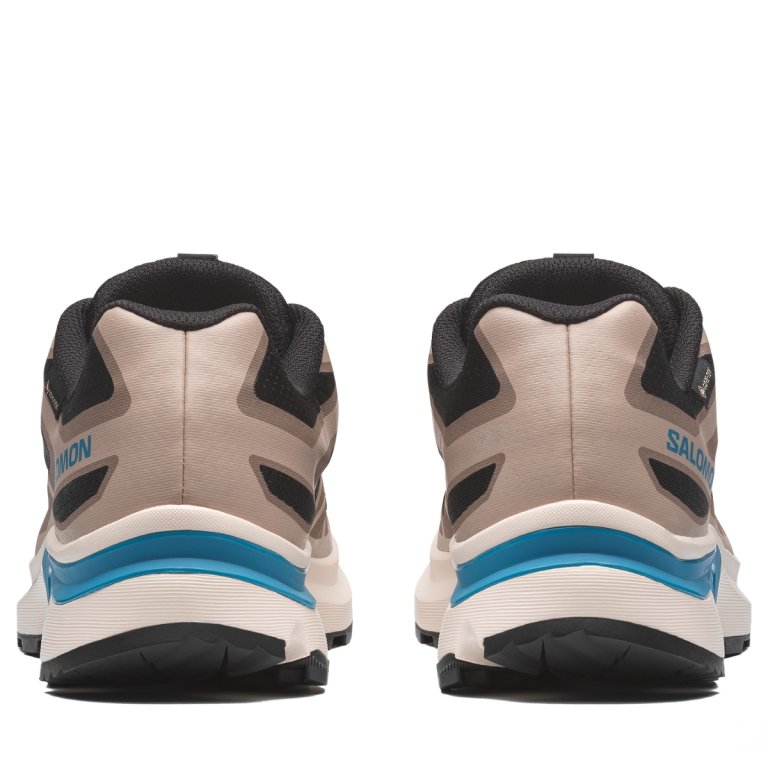 Obuv EVR Salomon XT-Evr Gtx M - černá/hnědá