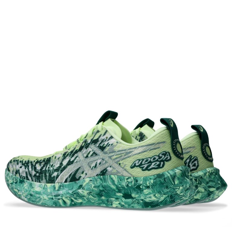 Topánky Asics Noosa Tri 16 M – zelené