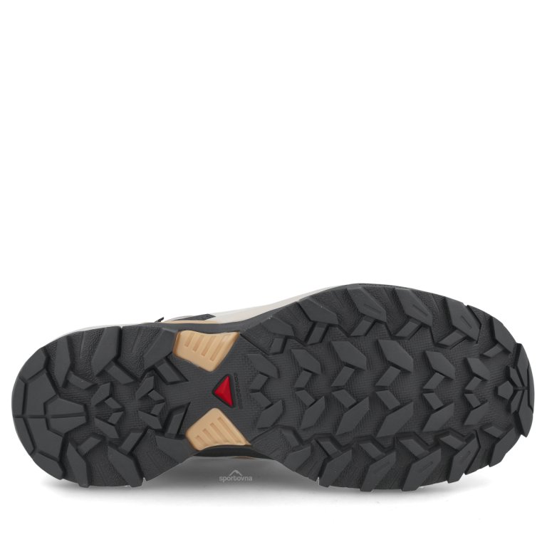 Взуття Salomon X Ultra 360 Gtx W — бежеве