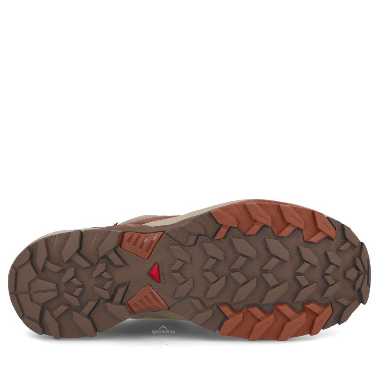 Взуття Salomon X Ultra 360 Edge Gtx M — коричнева/бежева