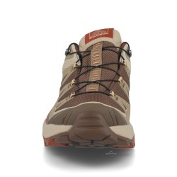Взуття Salomon X Ultra 360 Edge Gtx M — коричнева/бежева