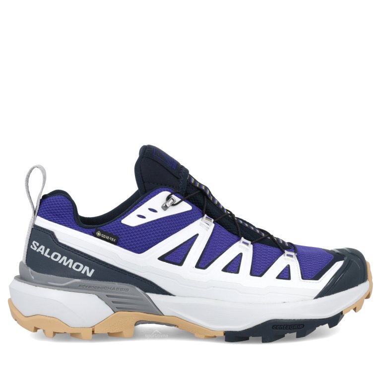 Obuv Salomon X Ultra 360 Edge GTX M - modrá/sivá