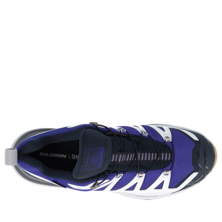 Obuv Salomon X Ultra 360 Edge GTX M - modrá/sivá