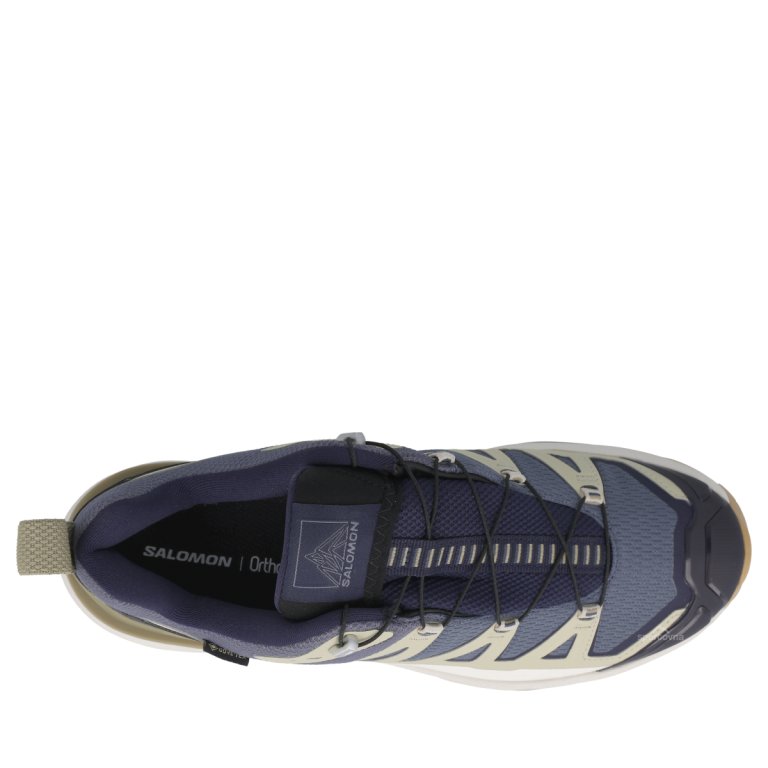 Obuv Salomon X Ultra 360 Edge GTX M - modrá/béžová