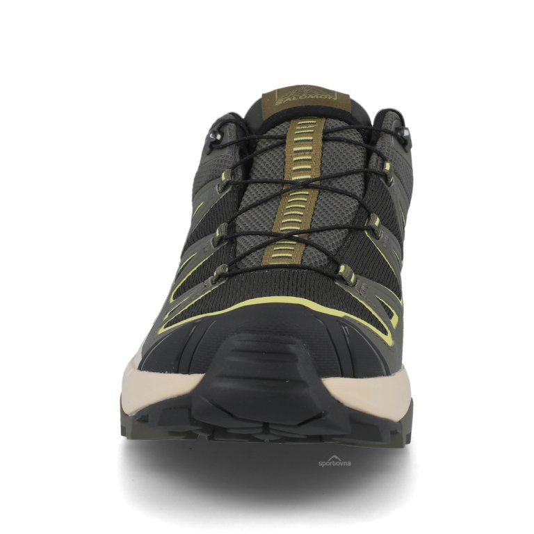 Obuv Salomon X Ultra 360 Edge Gtx M - dark green