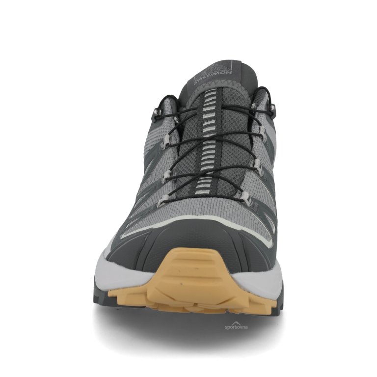 Obuv Salomon X Ultra 360 Edge GTX M - zelená