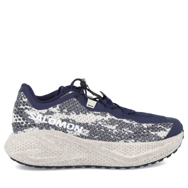 Взуття Salomon Aero Glide 4 Grvl M — темно-синя
