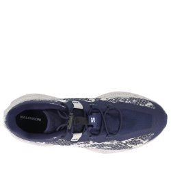 Взуття Salomon Aero Glide 4 Grvl M — темно-синя