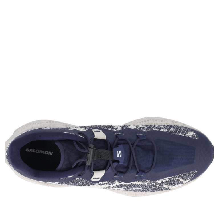 Взуття Salomon Aero Glide 4 Grvl M — темно-синя
