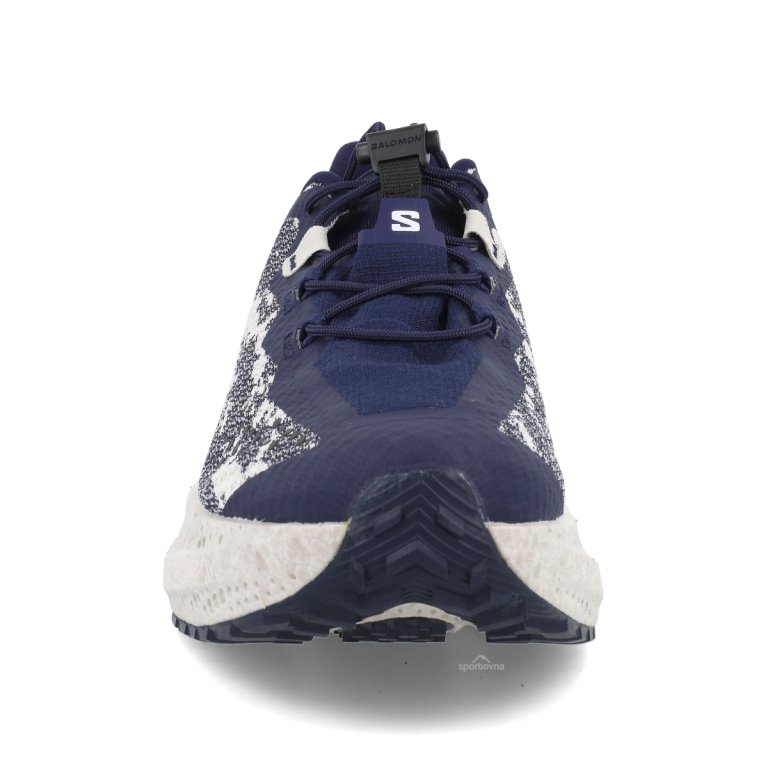 Взуття Salomon Aero Glide 4 Grvl M — темно-синя