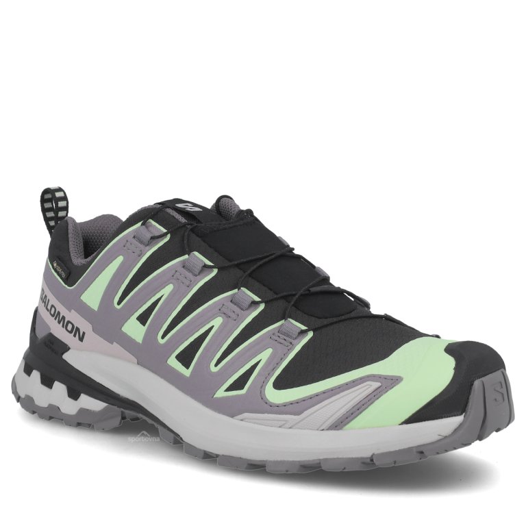 Obuv Salomon Xa Pro 3D V9 GTX W - černá/šedá/zelená