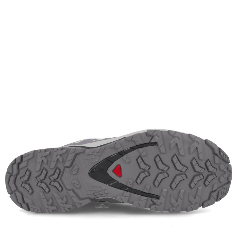 Obuv Salomon Xa Pro 3D V9 GTX W - černá/šedá/zelená