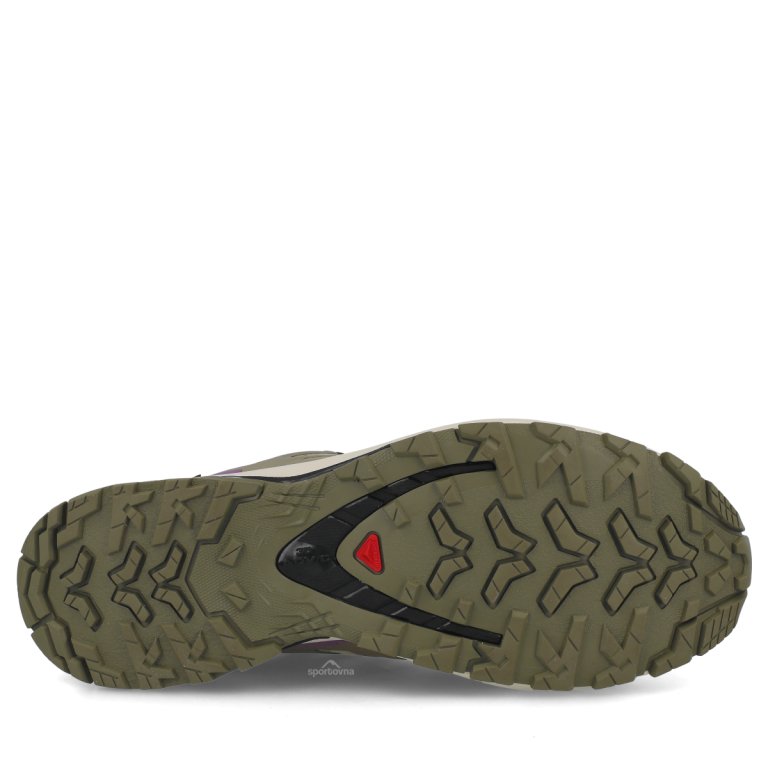 Obuv Salomon Xa Pro 3D V9 GTX W - béžová/fialová
