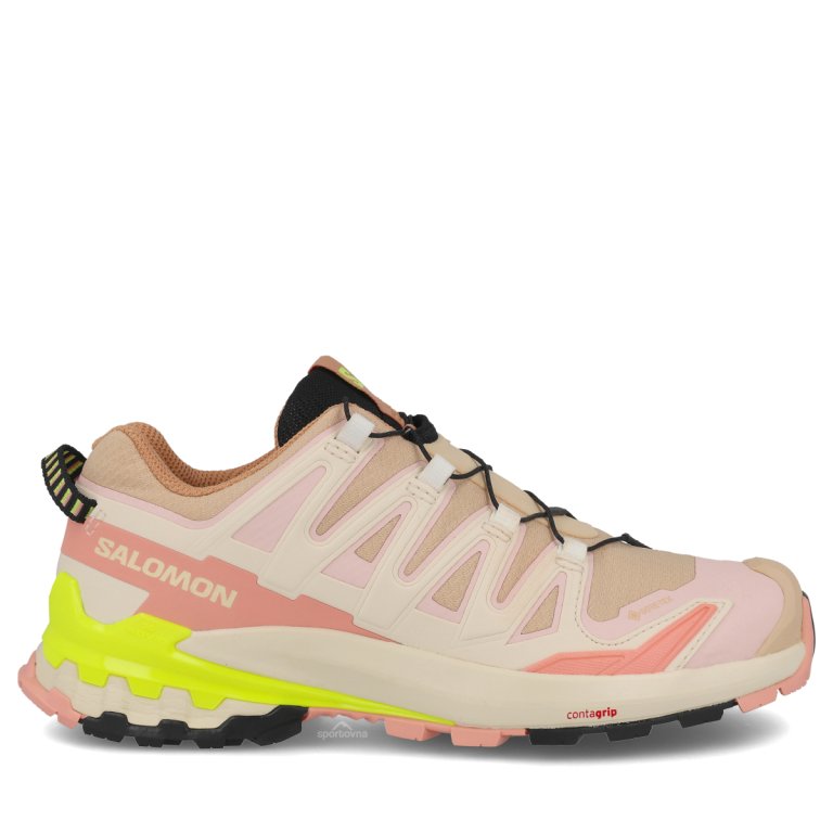 Obuv Salomon Xa Pro 3D V9 GTX W - hnědá