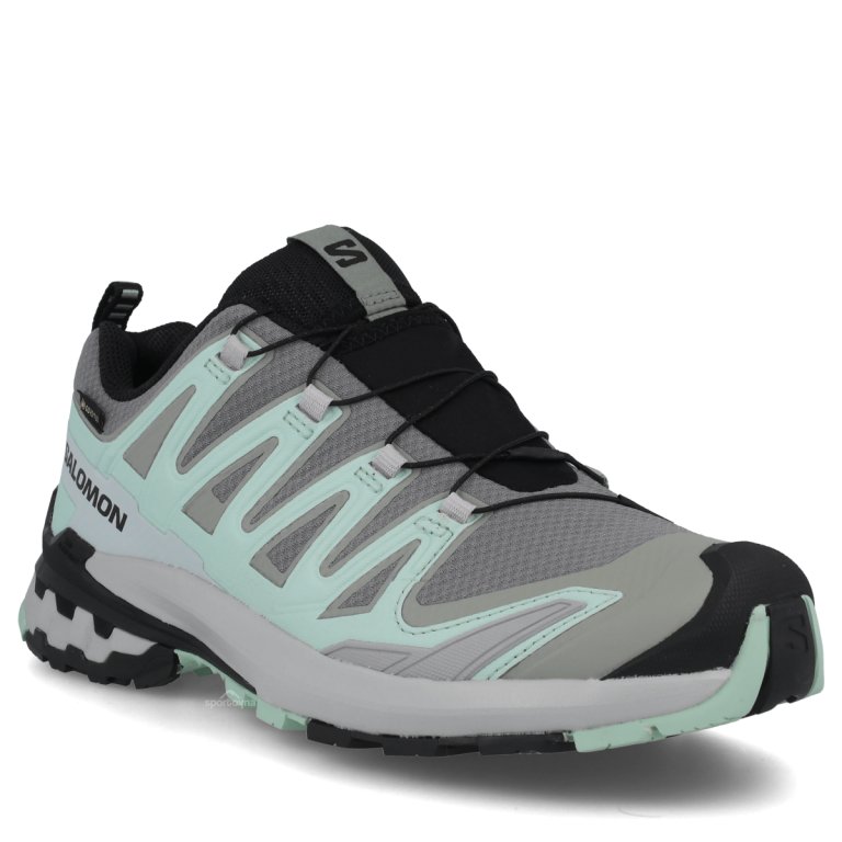 Obuv Salomon Xa Pro 3D V9 GTX W - černá/šedá/zelená